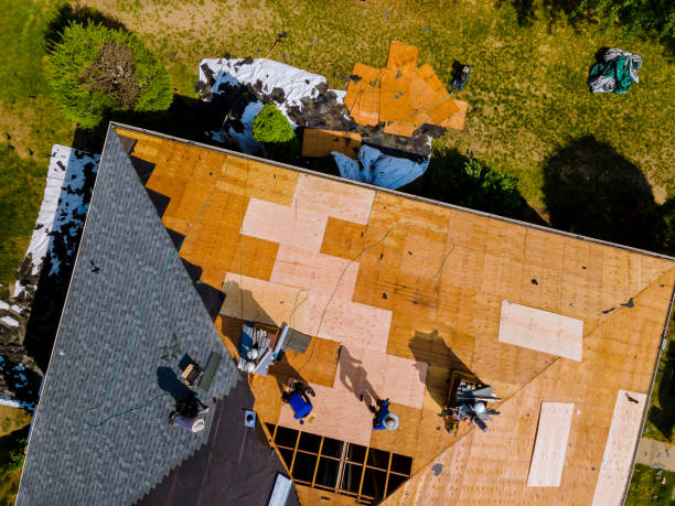 Best Roofing Contractor Near Me  in Dudley, NC