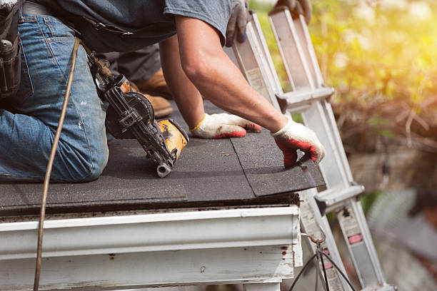 Best Roof Gutter Cleaning  in Dudley, NC