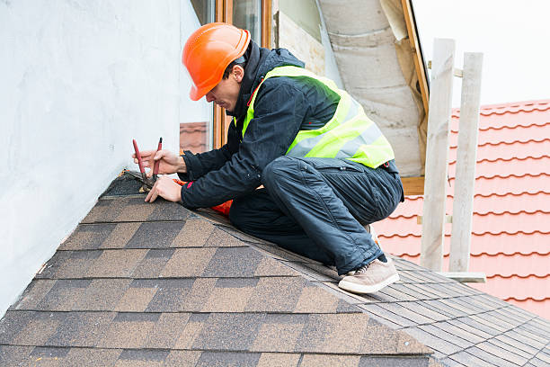 Best Roof Leak Repair  in Dudley, NC